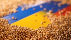 Five countries defend ban on four Ukrainian products: what the European Commission has said