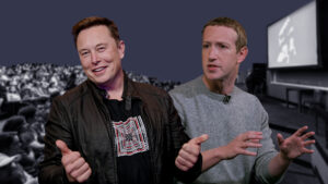 Billionaire fight: why have Musk and Zuckerberg agreed to a cage fight?