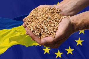 “Within a good goal”: Romania banned the import of Ukrainian grain