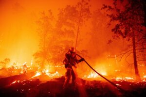 Catastrophe in Los Angeles: mansions of politicians and stars burned in California