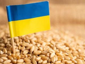 «Принцип домино»: Словакия продлила запрет на импорт сырья из Украины