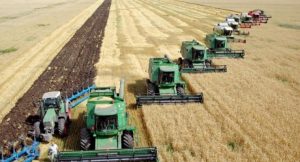 Чи виживуть українські агрохолдинги у 2023 році