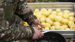 Велика спокуса: скільки коштує нагодувати українську армію