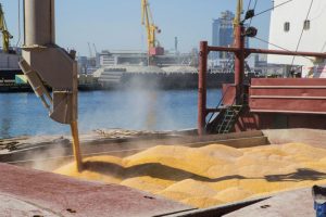 Проблему з українським зерном вирішено: в Польщі збудують новий порт для України